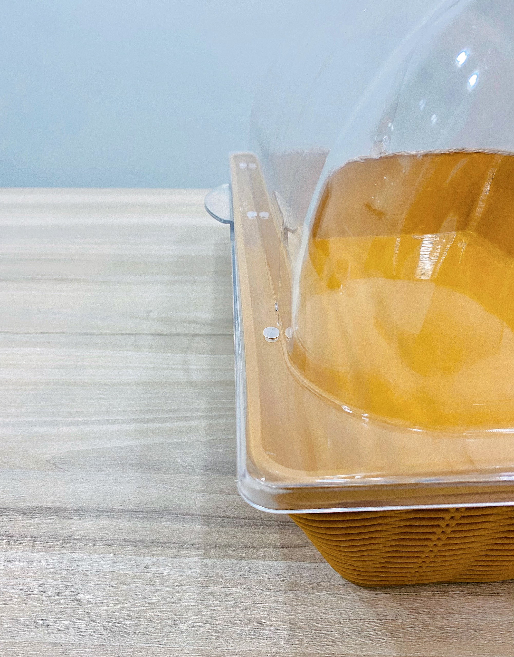 Khay nhua CN trung bay thuc an nap PC DC P2204 1B 5