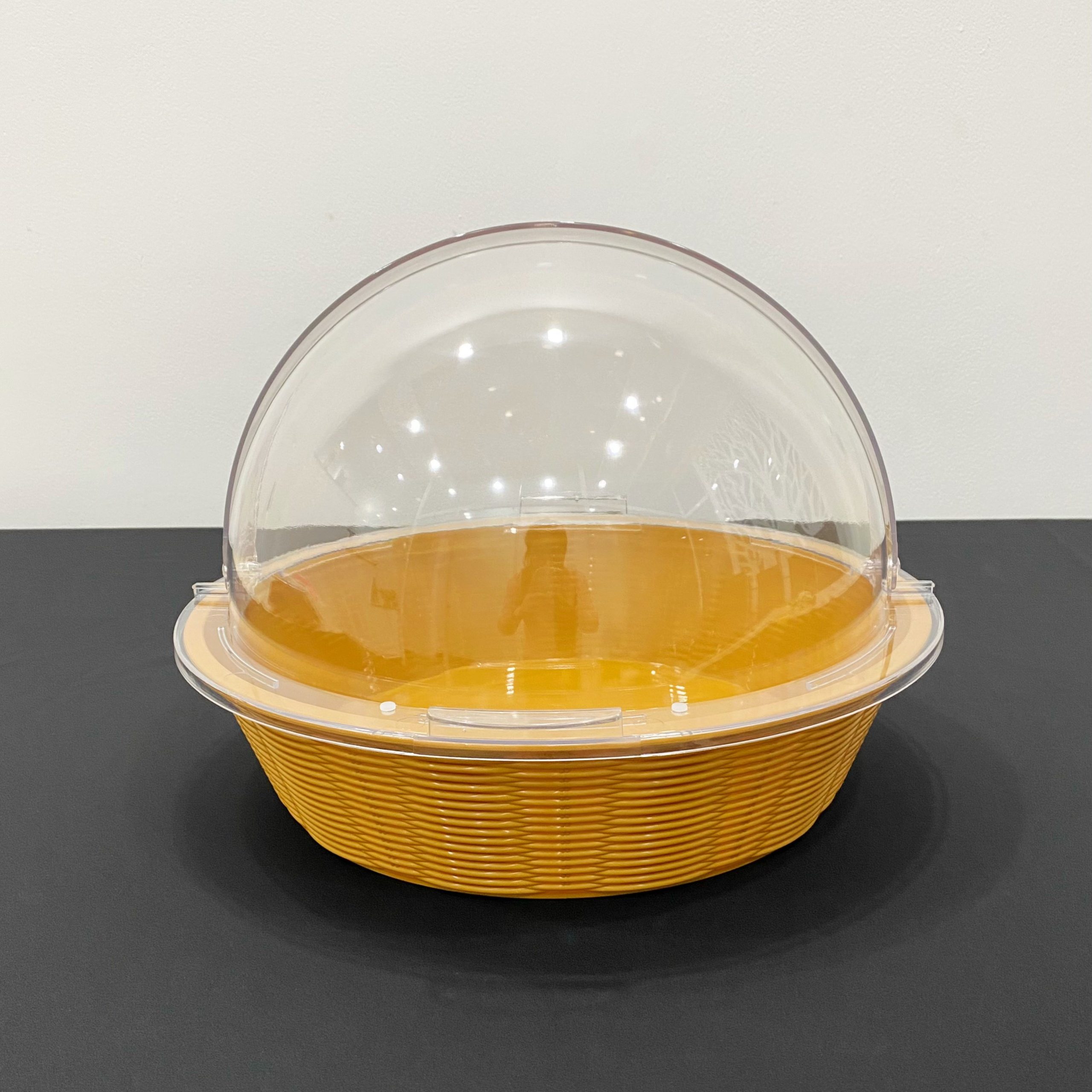 Khay nhua tron trung bay thuc an nap PC DC P2211 2B 1 scaled