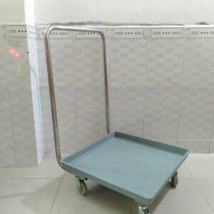 Xe day rack co tay nam GX070 .1