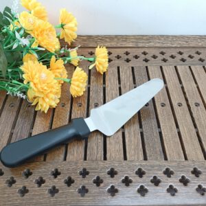 Xuc banh pizza 900B .1